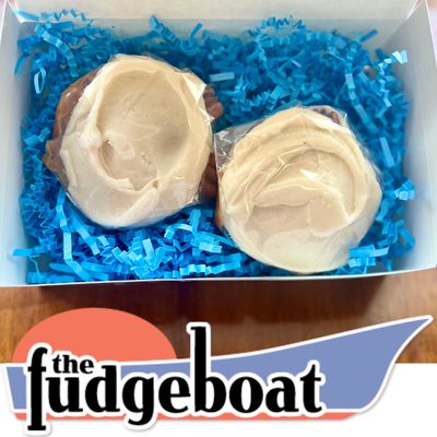 Albino Kissing Turtles