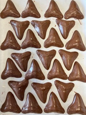 *Chocolate Megalodon Tooth