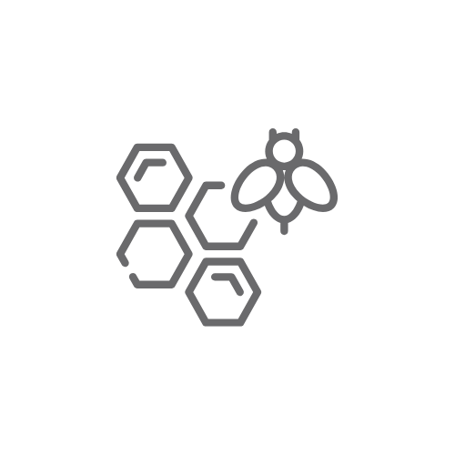 Educational Books & Posters