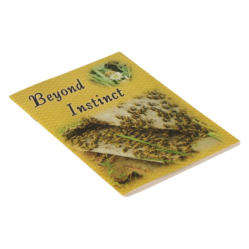 Book - Beyond Instinct