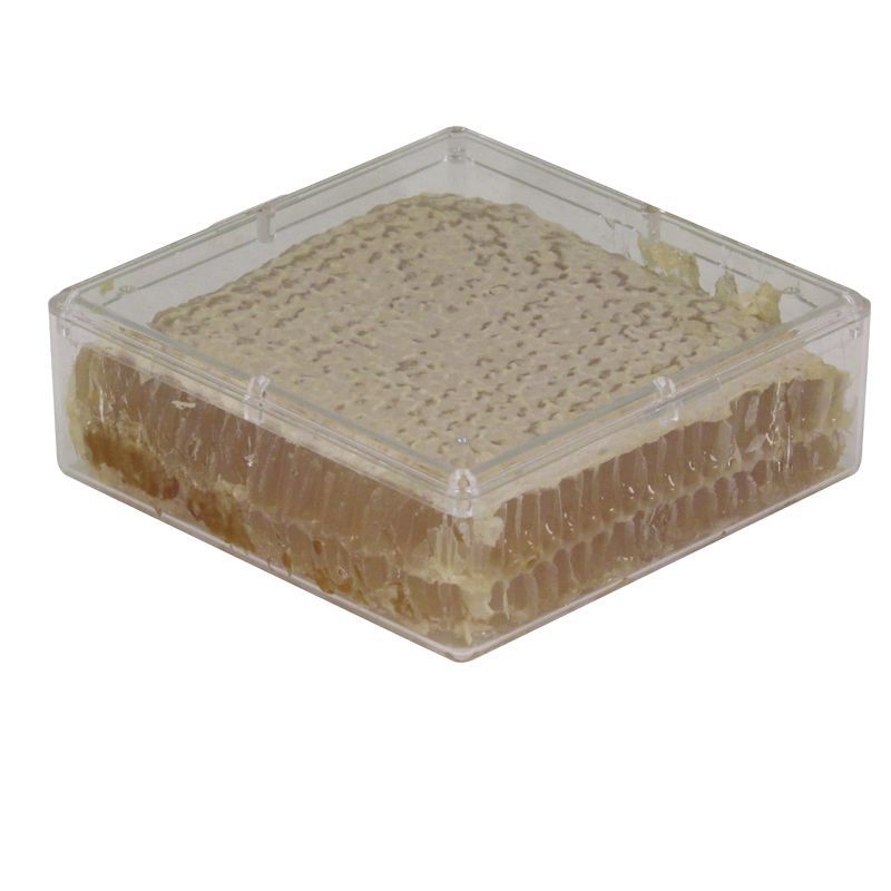 Case of 12 Heavy Duty Plastic Comb Honey Boxes
