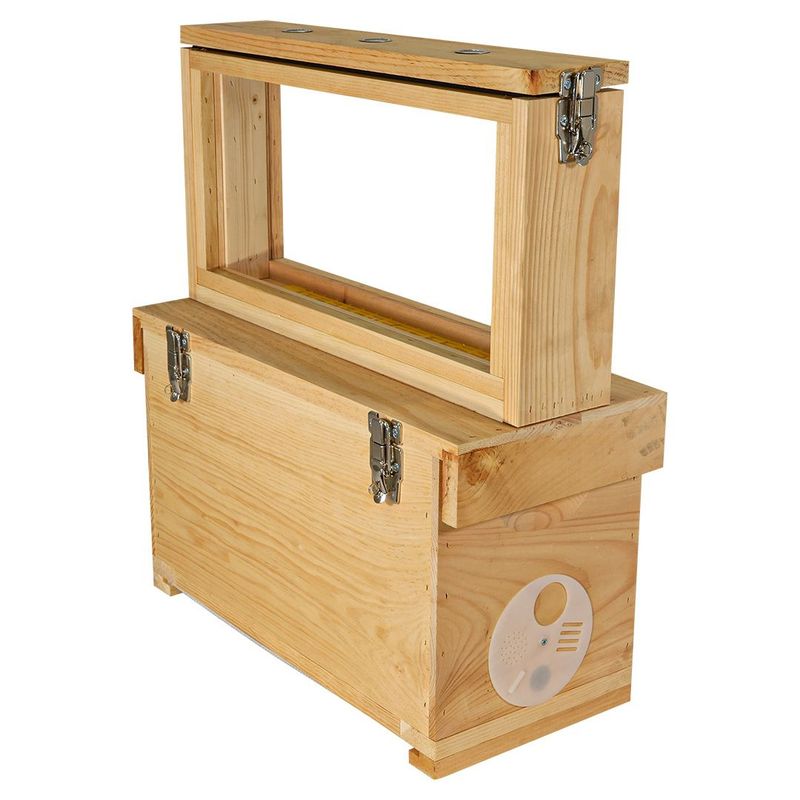 Observation Hive