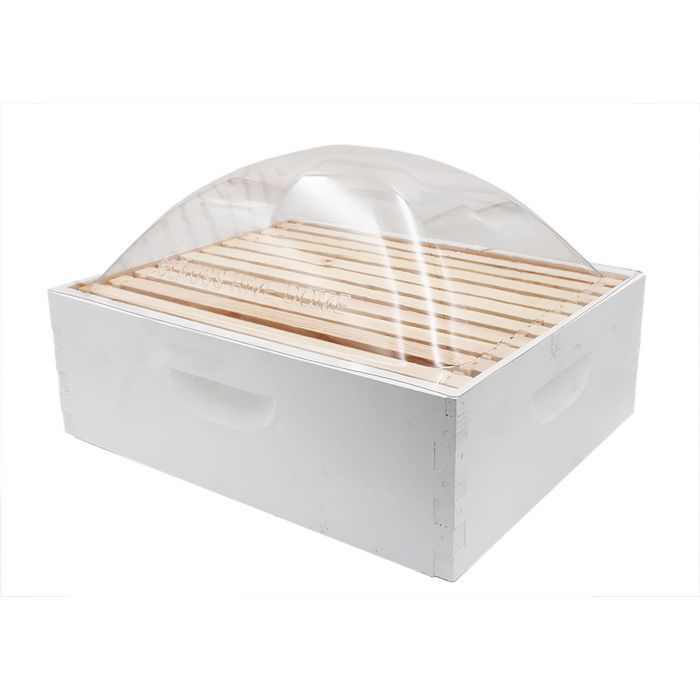 10-Frame Clear Dome Temporary Cover