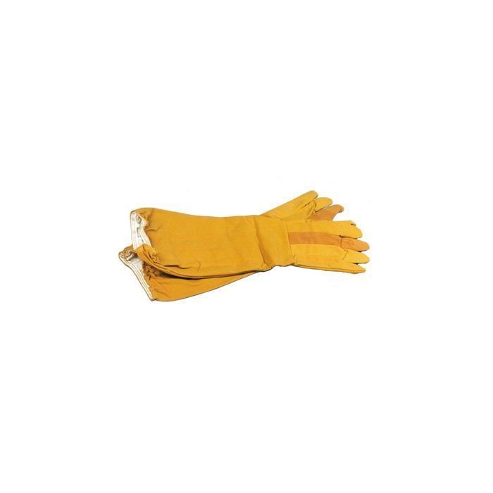 Canvas Gloves