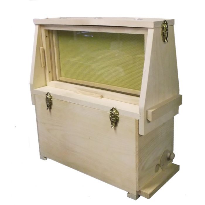 5-Frame Observation Hive