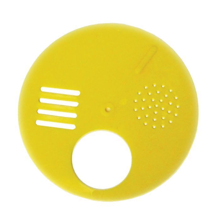 Entrance Disc