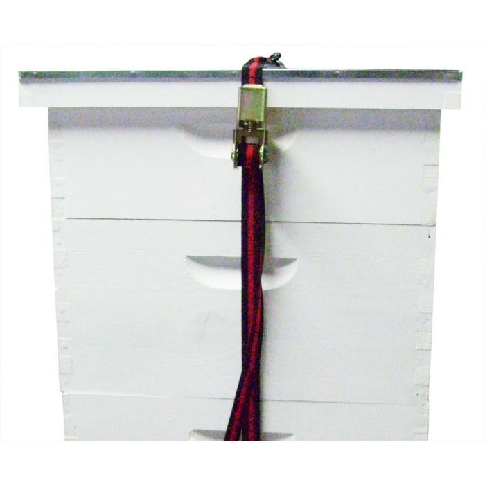 Bee Hive Tie Down Strap