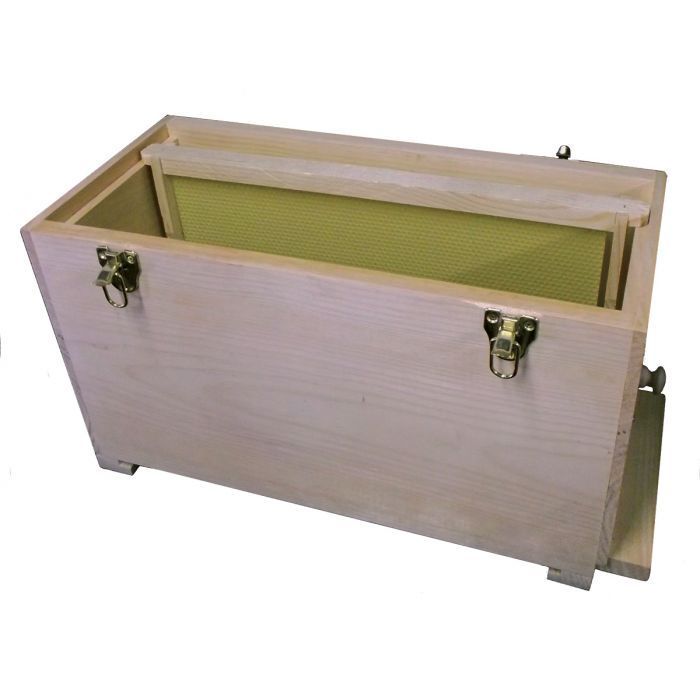 5-Frame Observation Hive