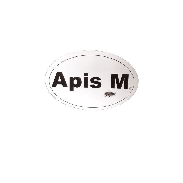 Apis M. Magnet