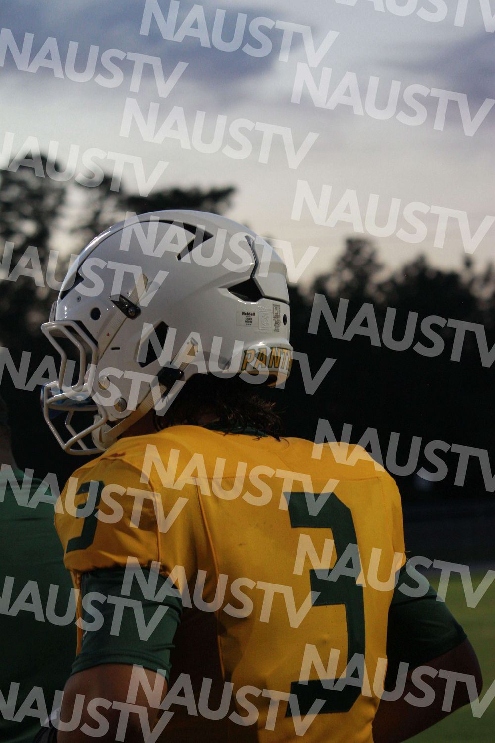 image3667