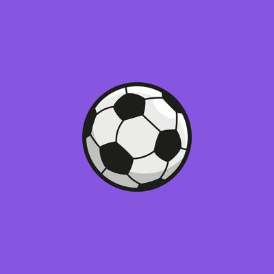SOCCER (GIRLS JUNIOR VARSITY) - SRHS
