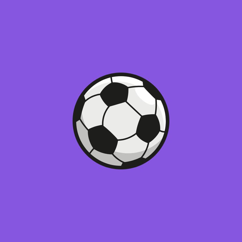 SOCCER (GIRLS VARSITY) - SRHS