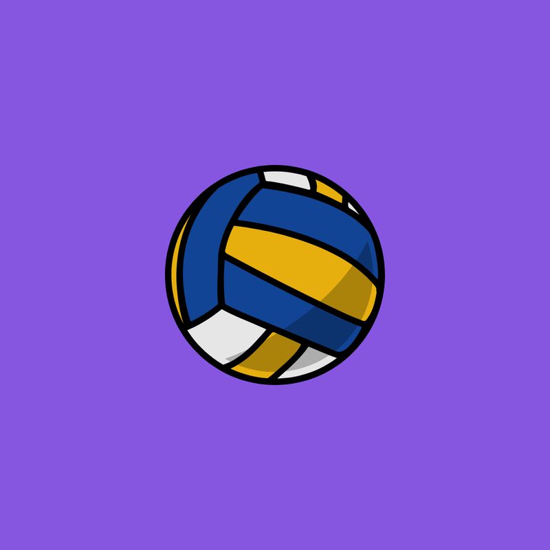 VOLLEYBALL (GIRLS JUNIOR VARSITY) - SRHS