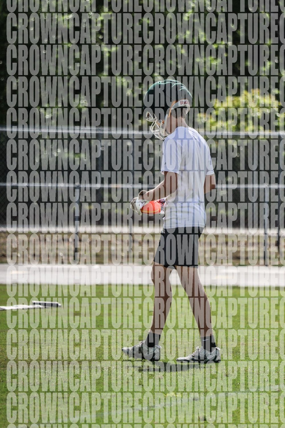 image71790