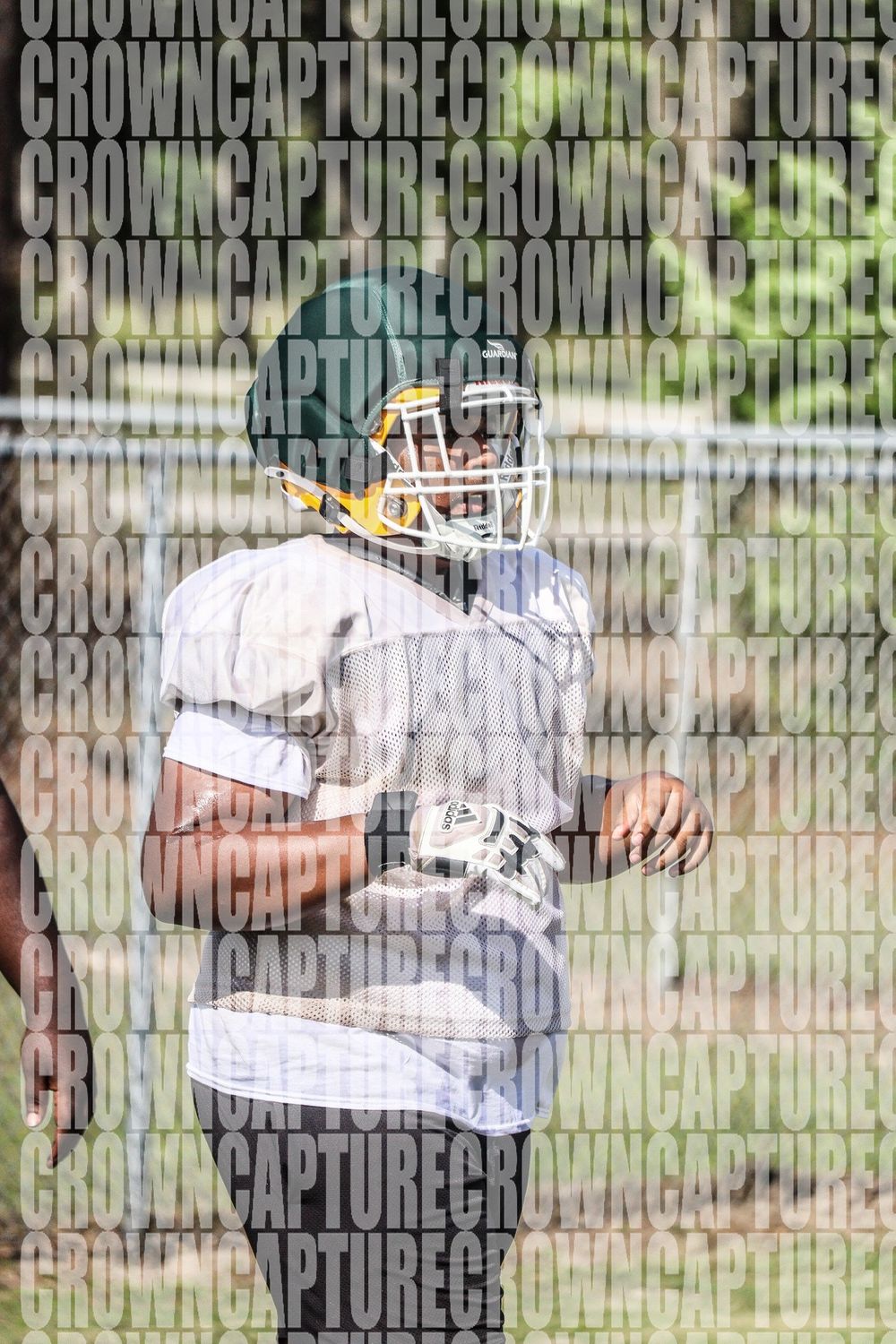 image74373