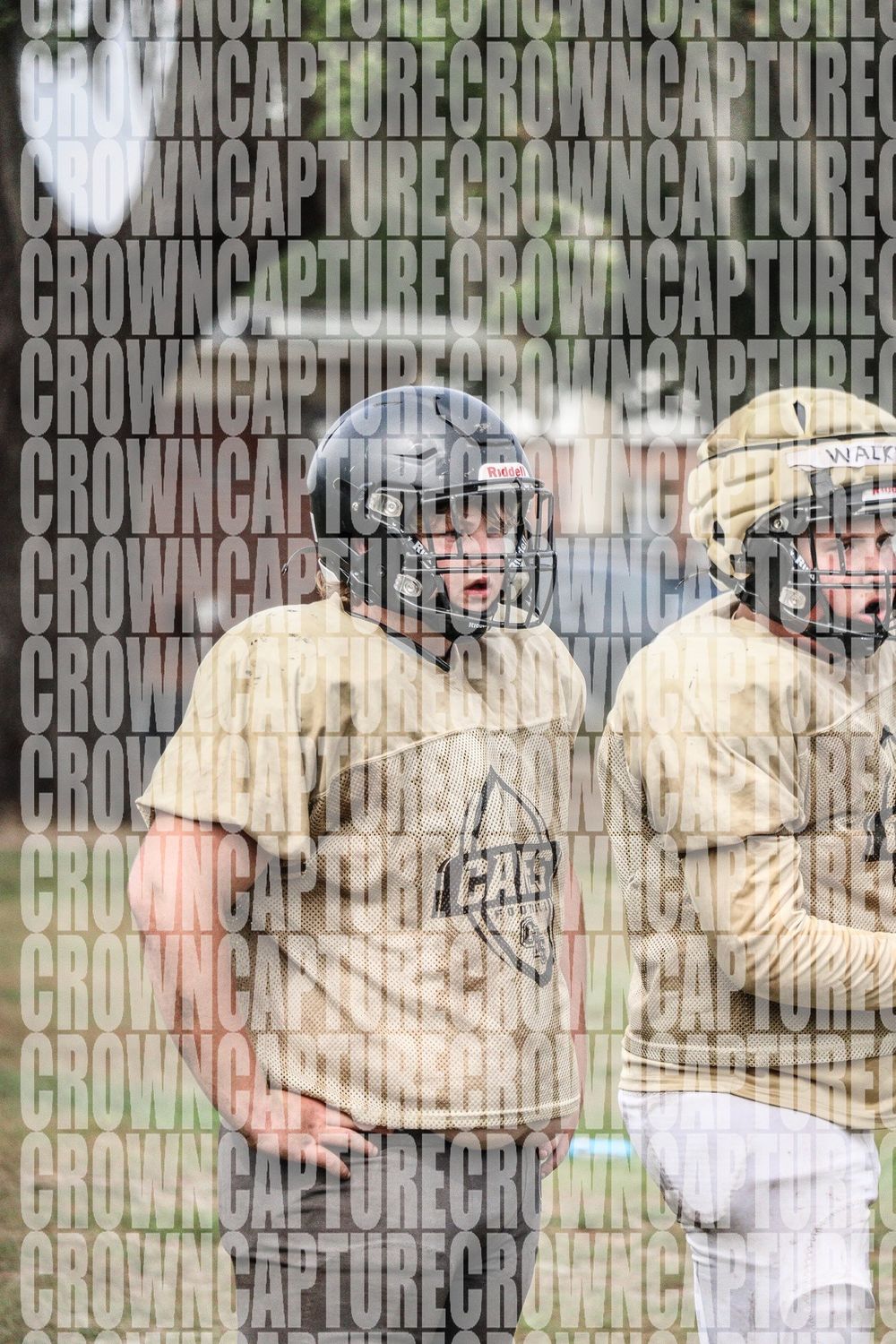image75038