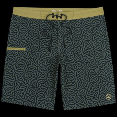 Holyoke Boardshort