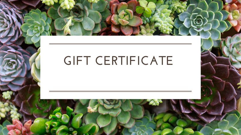 Gift Certificate