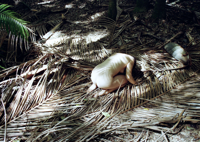Woman in Palm Tree Forest, Australia