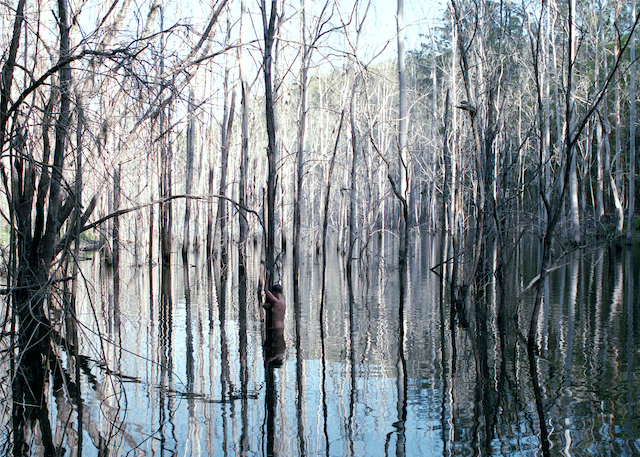 Woman in Drowned Forest, Australia