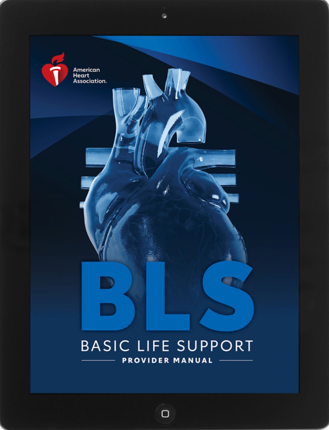 BLS (Basic Life Support)