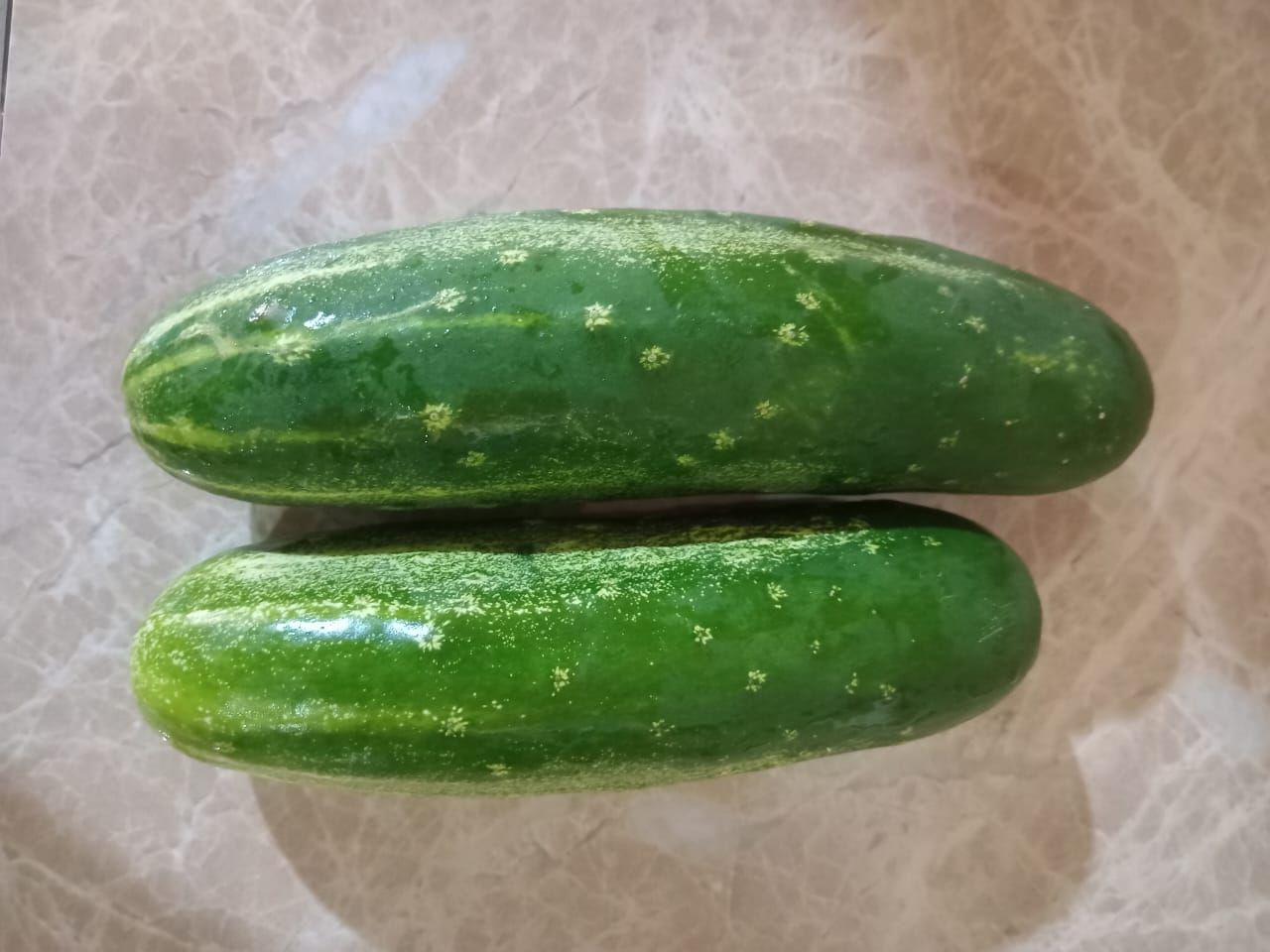 Cucumber