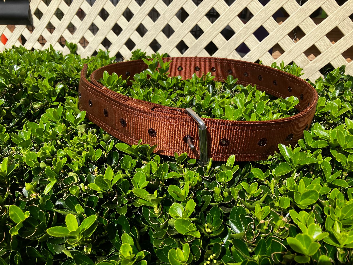 Bull Catching Strap