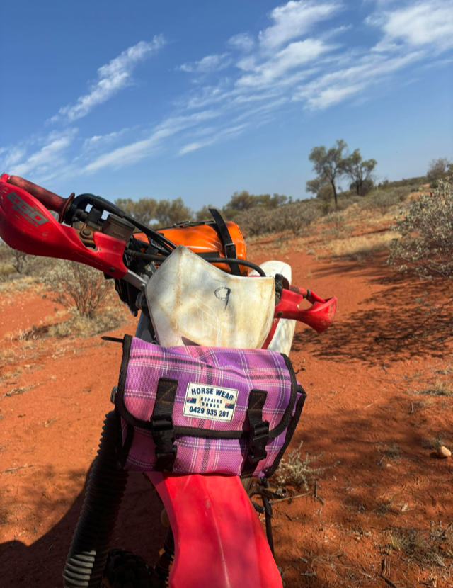 Saddle (Bike) Bag