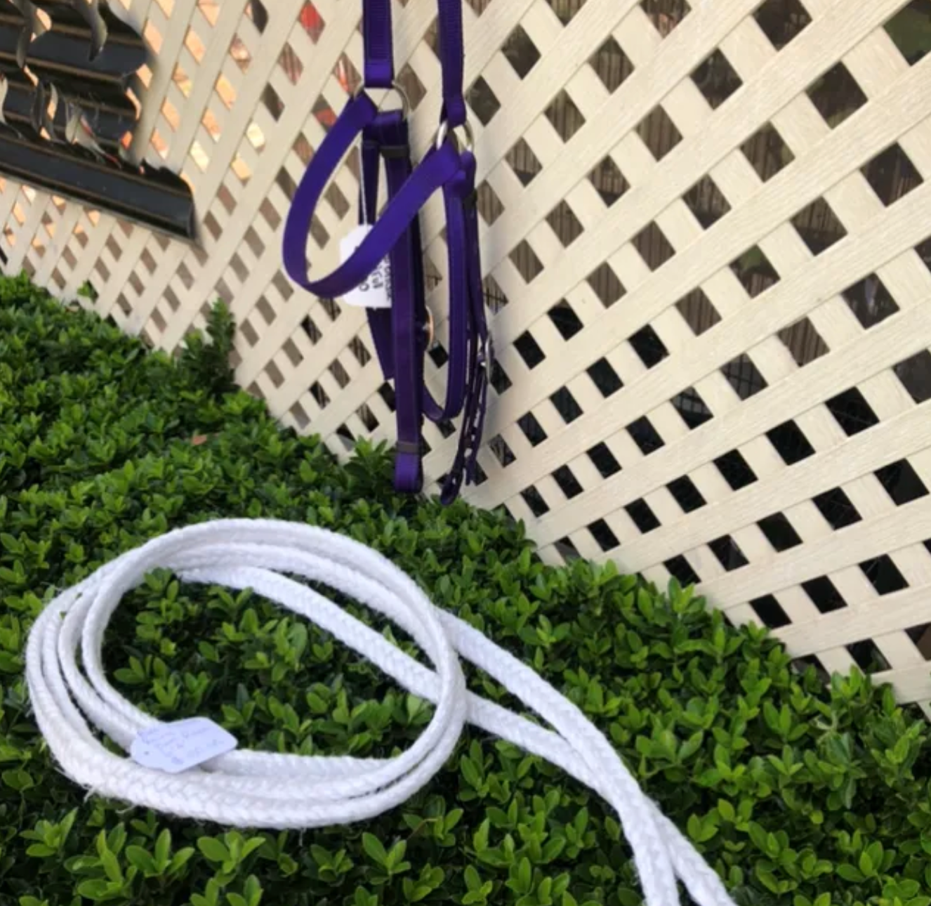 Rope Plaited Reins