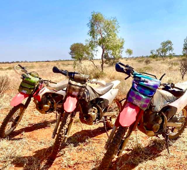 Bike Combo Carrier