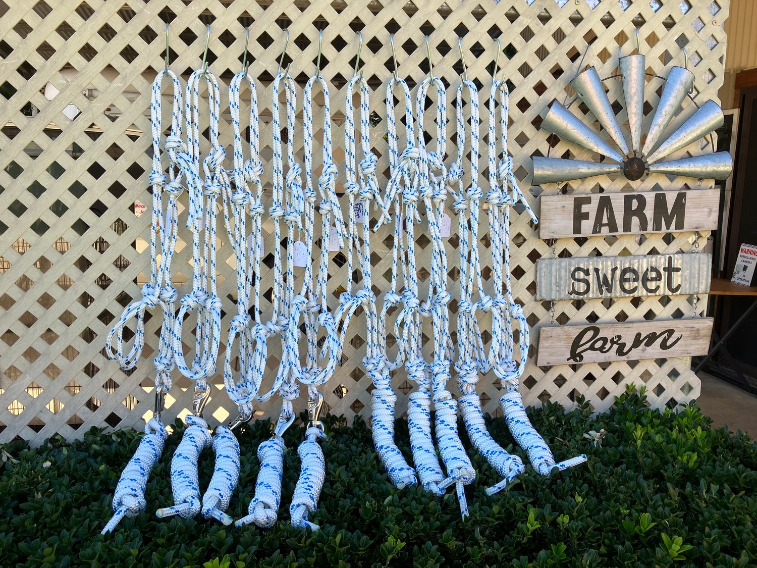 Rope Head Collars and Lead