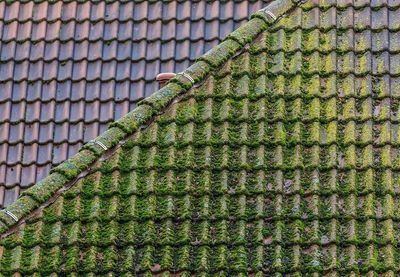 Gevelreiniging voor :Baksteen,terracota,geëmallieerde baksteen,natuursteen,arduin,marmer beton   Reynchemie  RC BIOZYM CLEAN                                                                    5 L