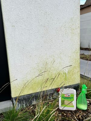 Groene aanslagverwijderaar/ontmosser