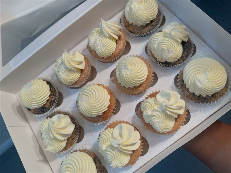 Plain Iced Cupcakes