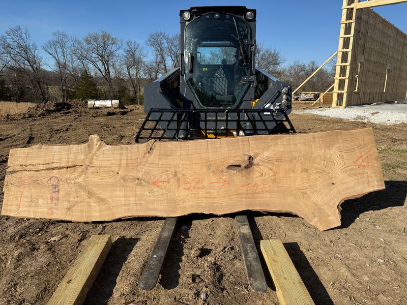 Catalpa CAT 2-6