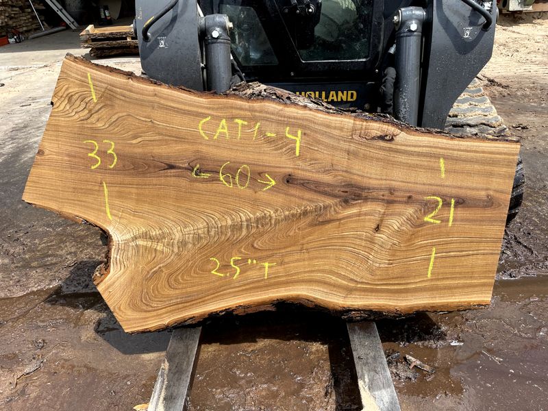Catalpa CAT 1-4