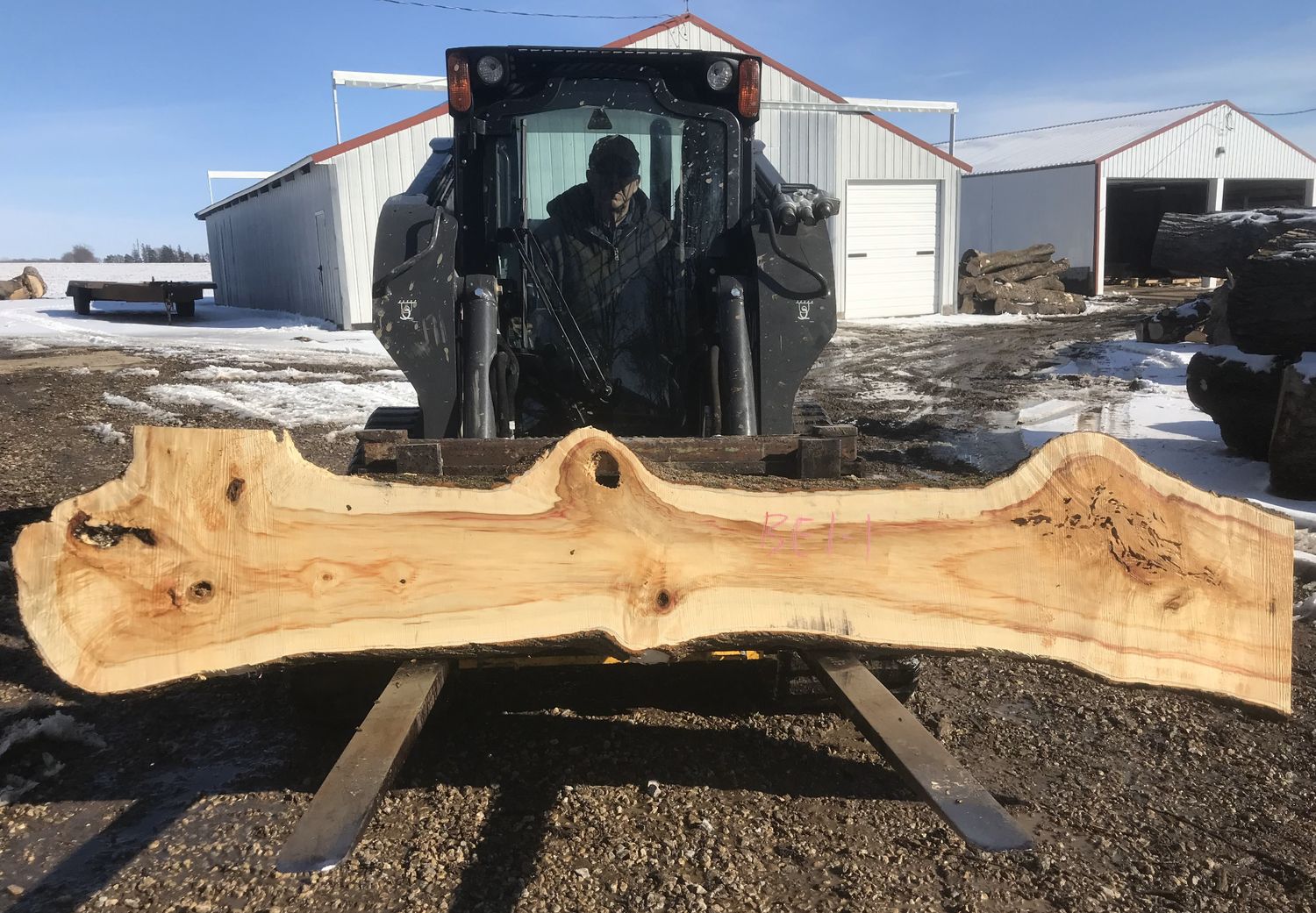 Boxelder (BE 1-1)