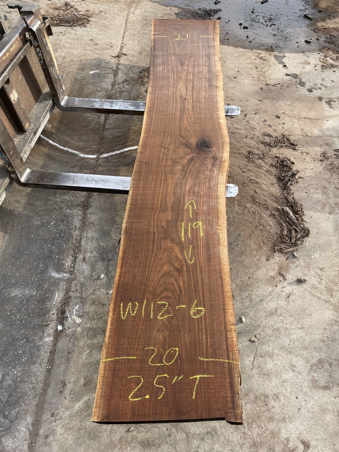Walnut (WL 12-6)