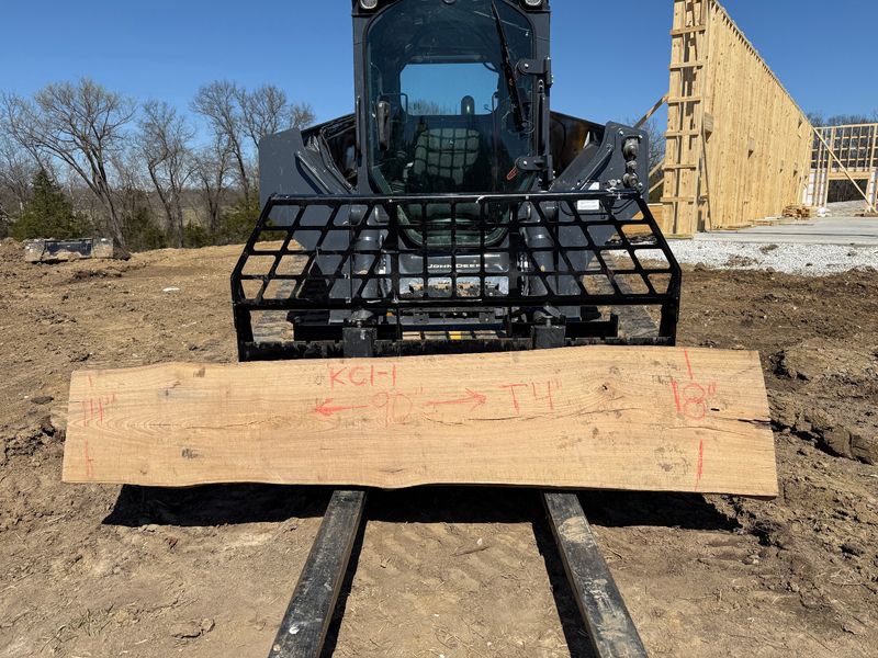 Kentucky Coffeetree (KC 1-1)