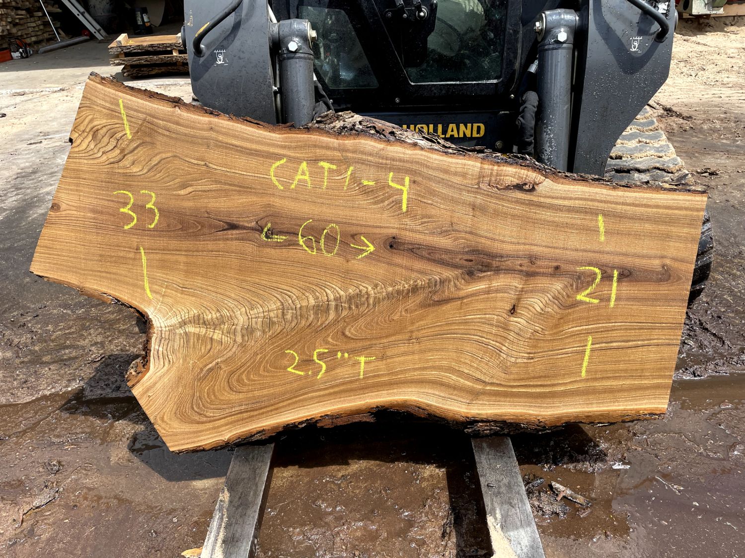 Catalpa (CAT 1-4)