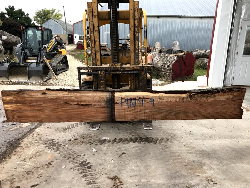 Pin Oak (PIN 4-9)