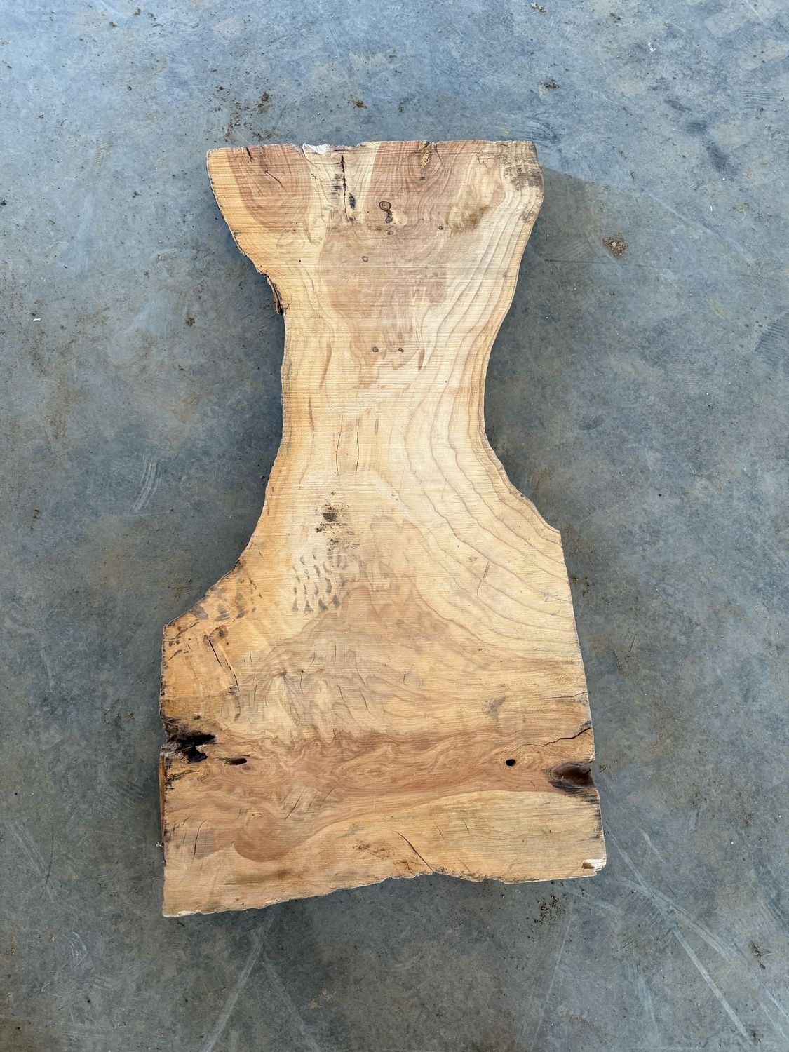 Honey Locust (HL 2-2)