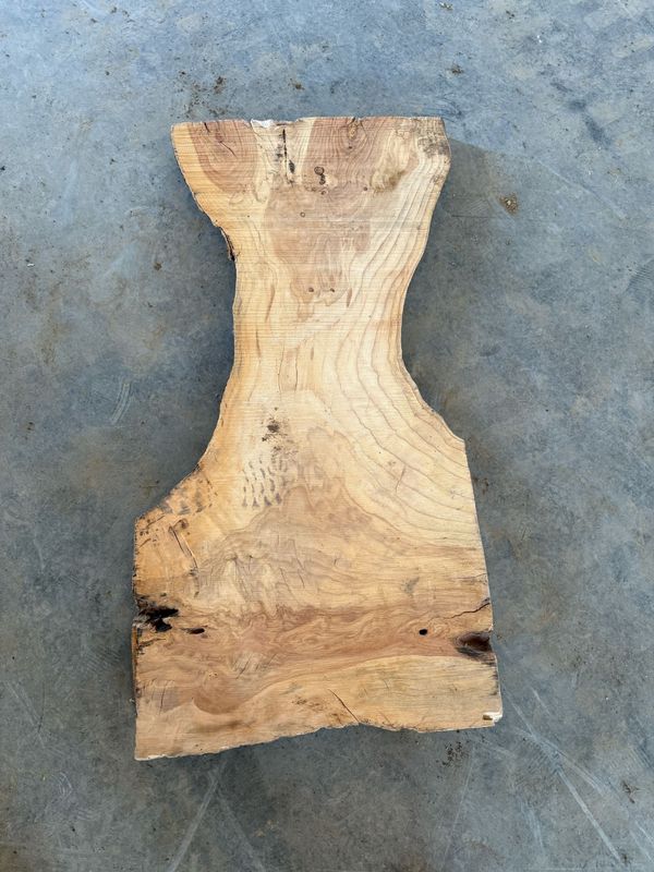 Honey Locust (HL 2-2)