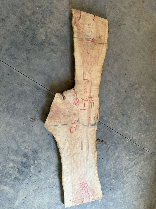 Boxelder (BE2-1)
