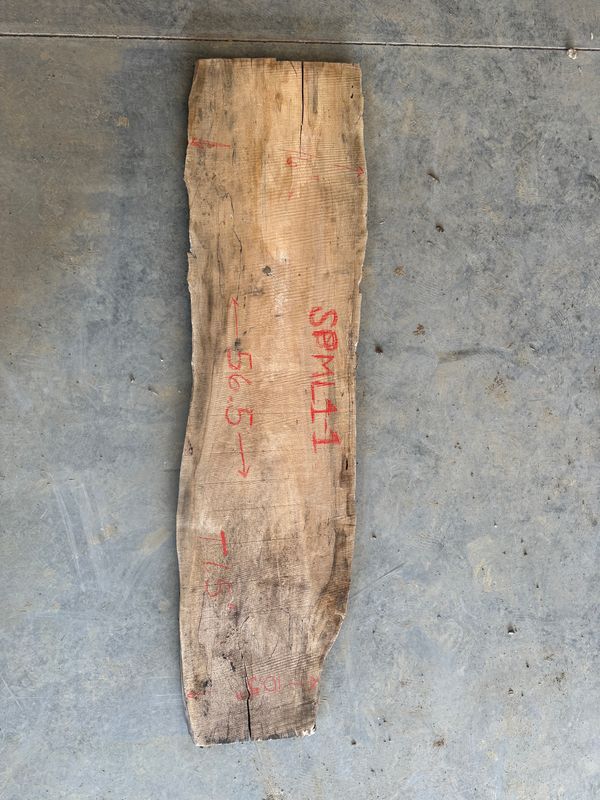 Spalted Maple (SPML1-1)