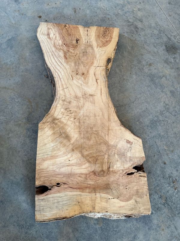 Honey Locust (HL2-3)
