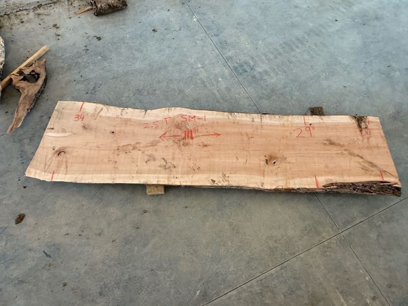 Sugar Maple (SM-1)