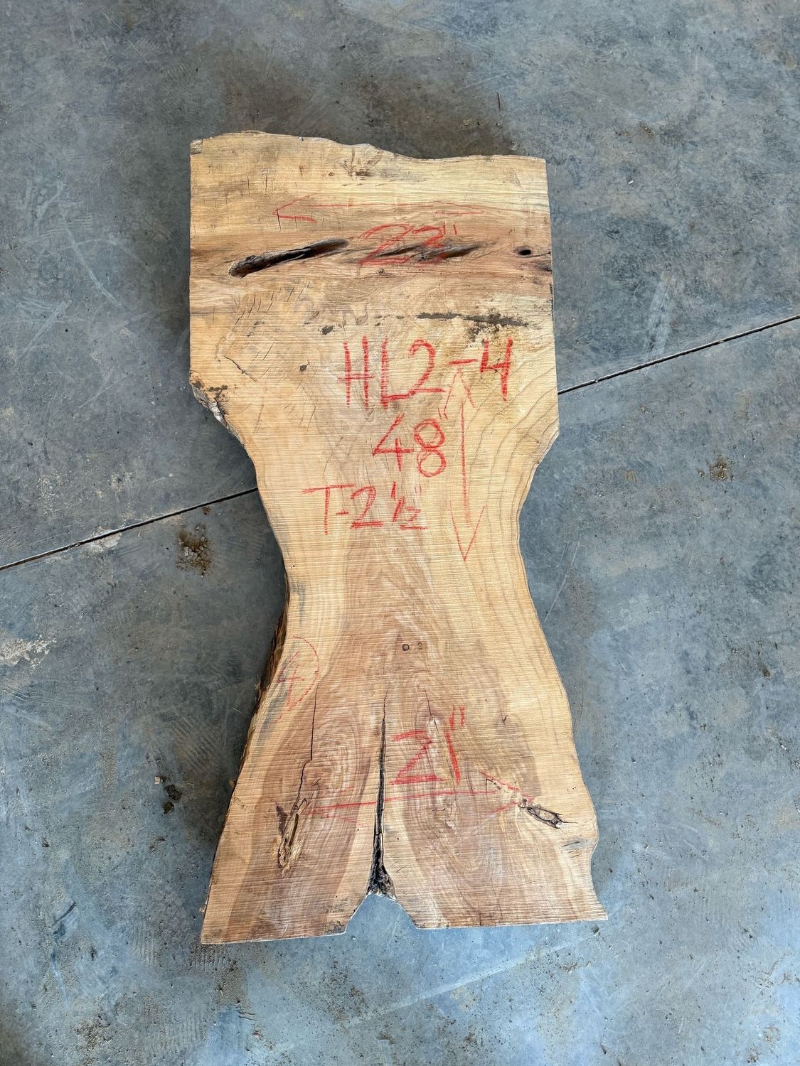 Honey Locust (HL2-4)