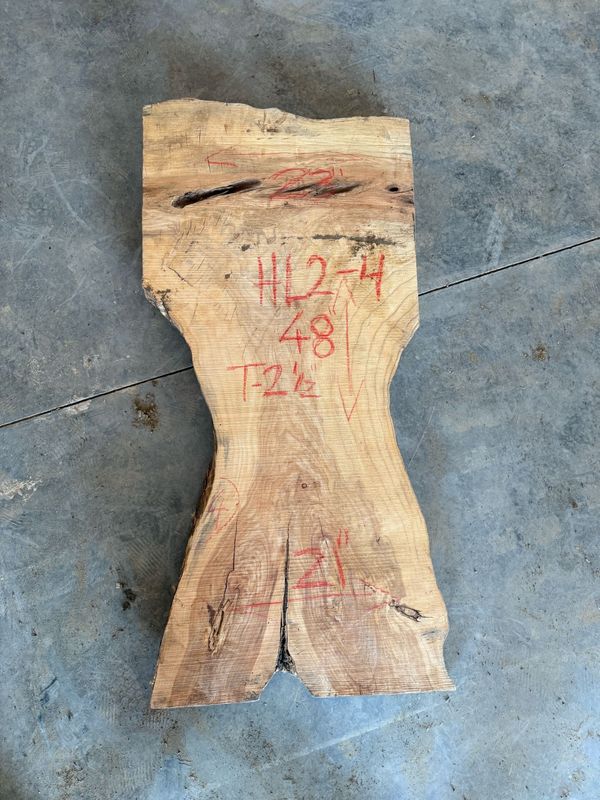 Honey Locust (HL2-4)