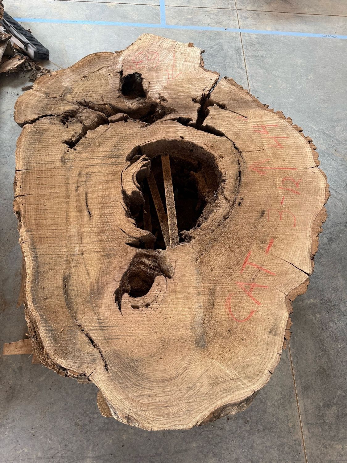 CAT3-12